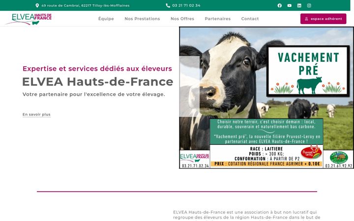 Screenshot ta' elvea-hdf.fr