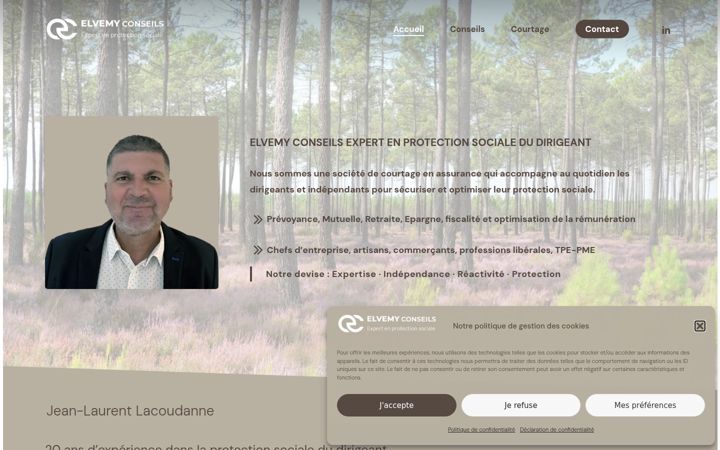 Screenshot ta' elvemy-conseils.fr