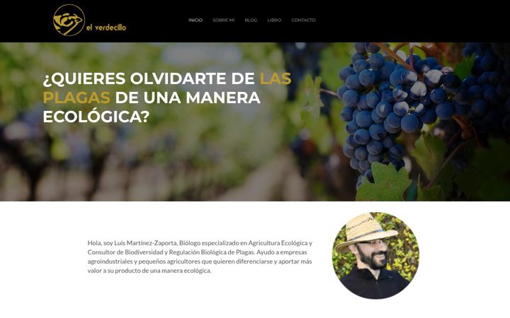 Screenshot of elverdecillo.com