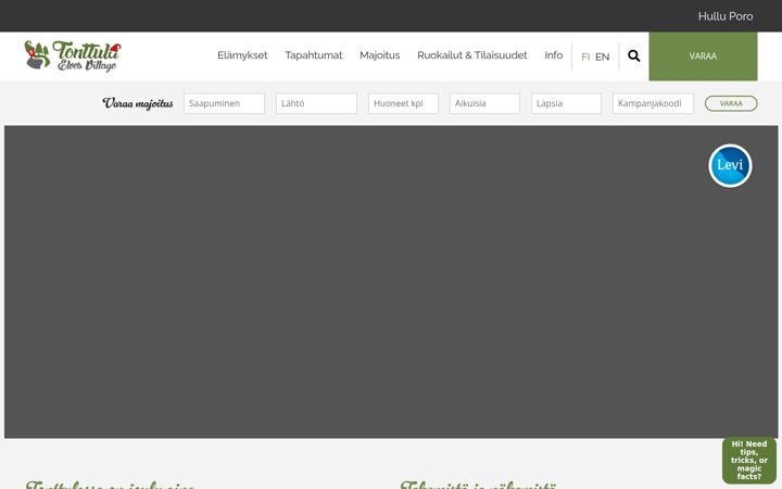 Screenshot of elvesvillage.fi