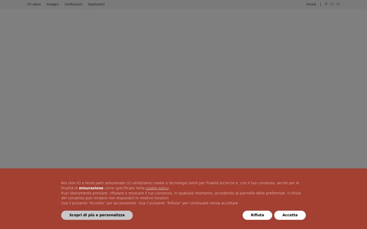 Screenshot of elvi.it