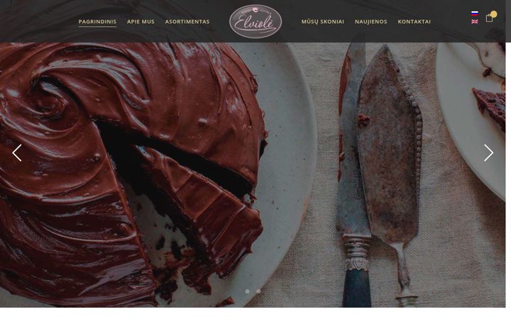 Screenshot of elviole.lt