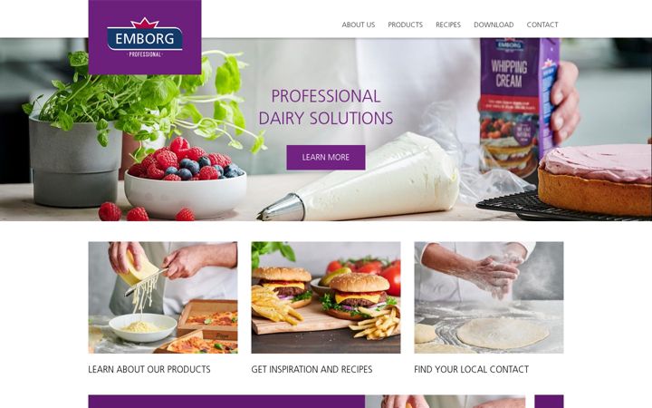 Screenshot of emborgprofessional.com