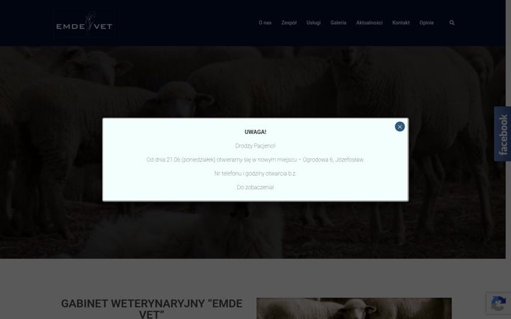 Snímek obrazovky emdevet.pl