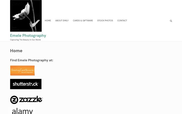 Screenshot of emele-photography.com
