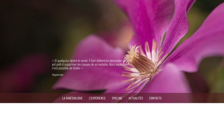 Screenshot ta' emeline-kinesiologie.fr
