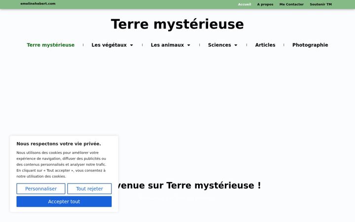 Screenshot of emelinehebert.com