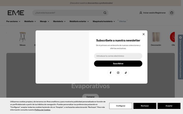 Ekraanipilt saidist ememobiliario.es