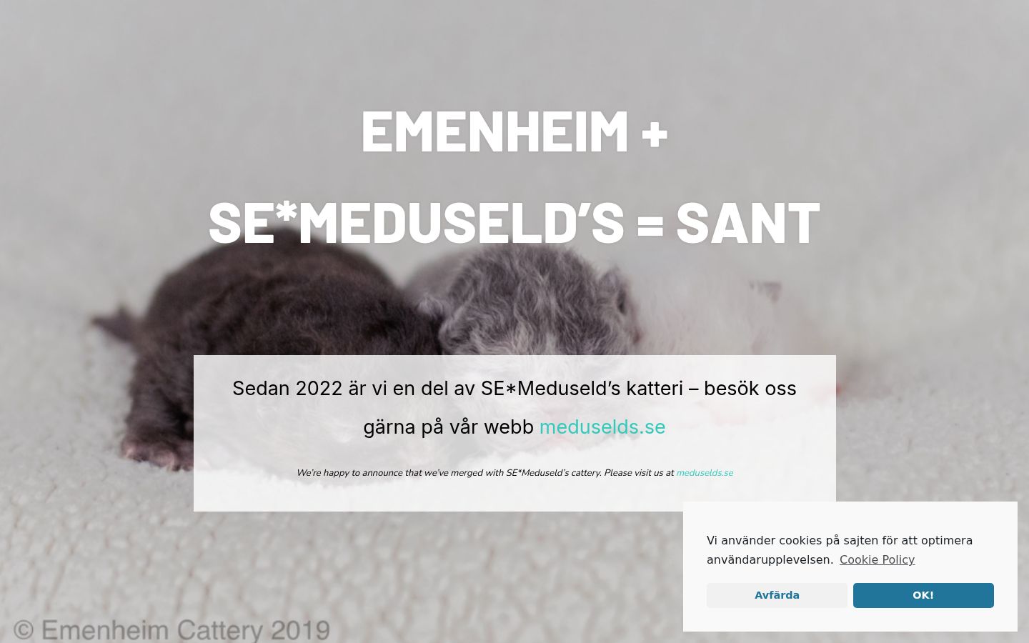 Sutikimo reklamjuostės, rodytos prieš bet kokią sąveiką, ekrano kopija