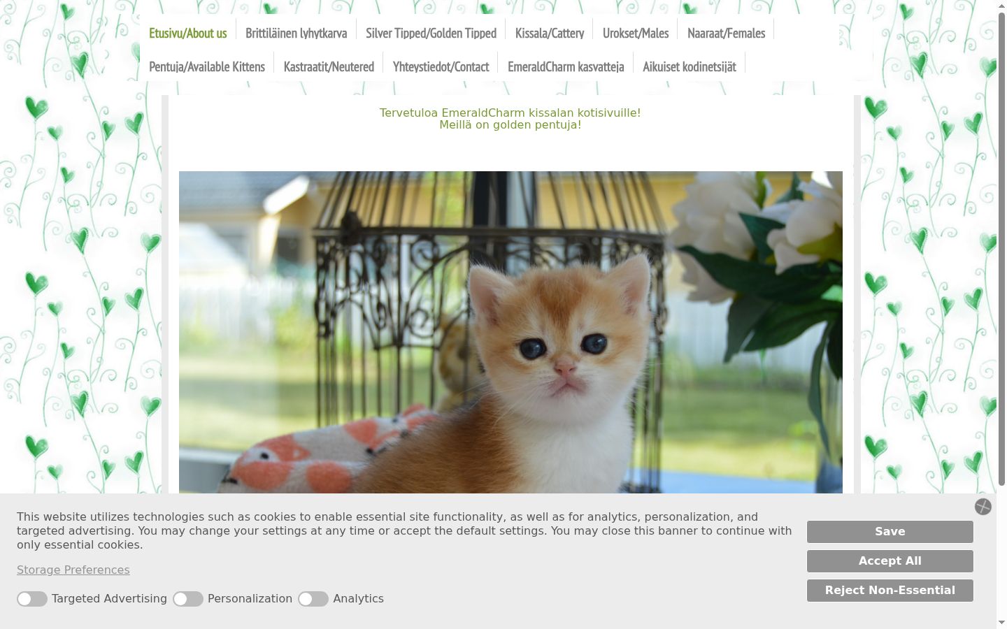 Screenshot of the consent banner shown before any interaction