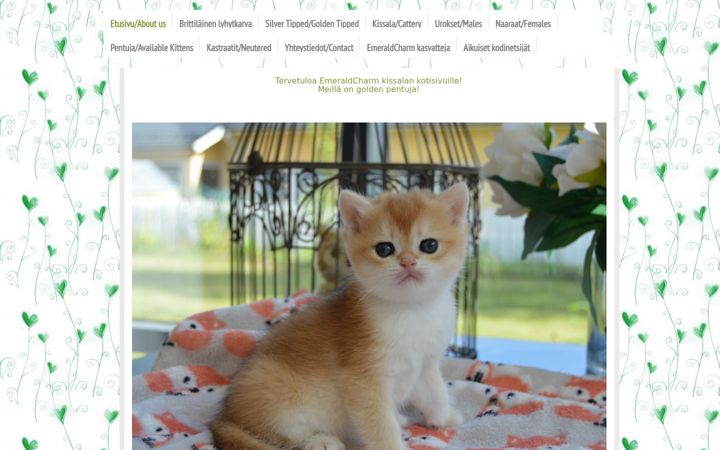 Screenshot of emeraldcharm.fi