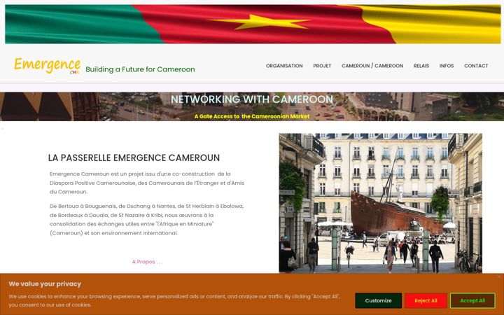 Screenshot of emergencecameroon.org
