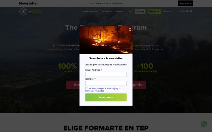 Screenshot of emerprogram.com