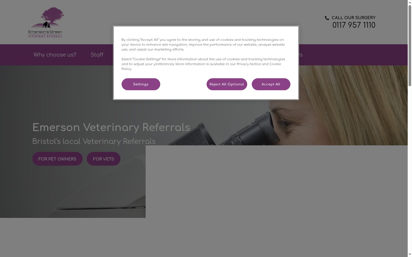 Screenshot of the consent banner shown before any interaction