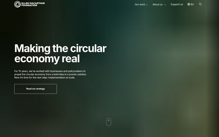 Screenshot of emf.org