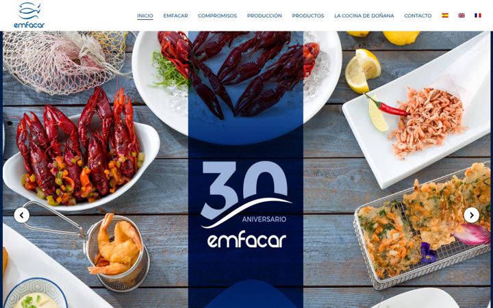 Screenshot of emfacar.com