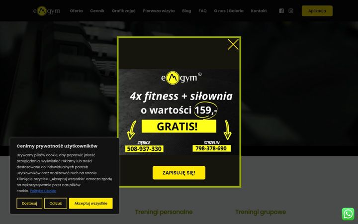 Snímek obrazovky emfit.pl