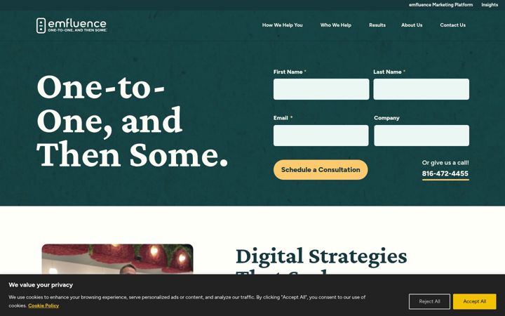 Screenshot of emfluence.com