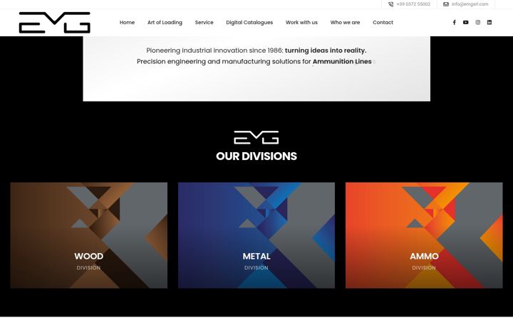 Screenshot of emgsrl.com