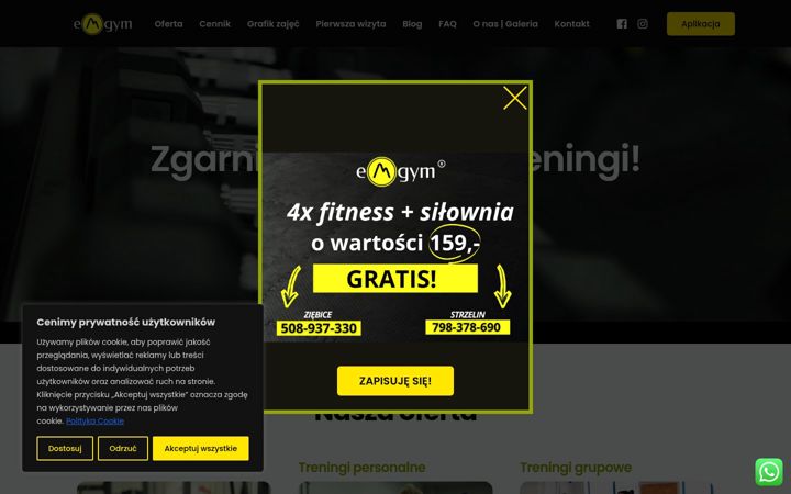 Snímek obrazovky emgym.pl