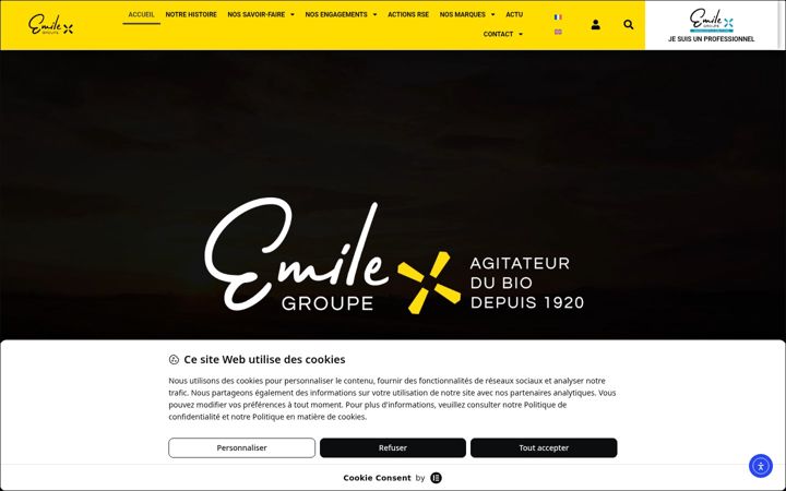 Screenshot of emilegroupe.fr
