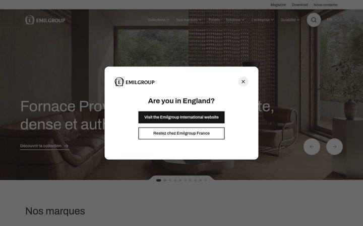 emilgroup.fr