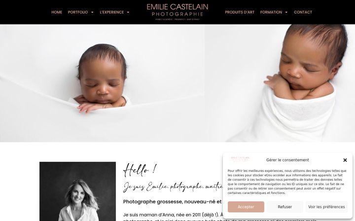 Screenshot of emiliecastelain.com