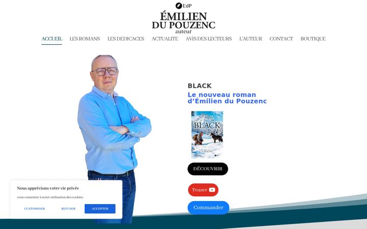 Snímek obrazovky emiliendupouzenc.fr