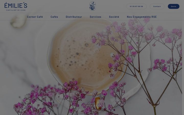Screenshot of emilies.fr