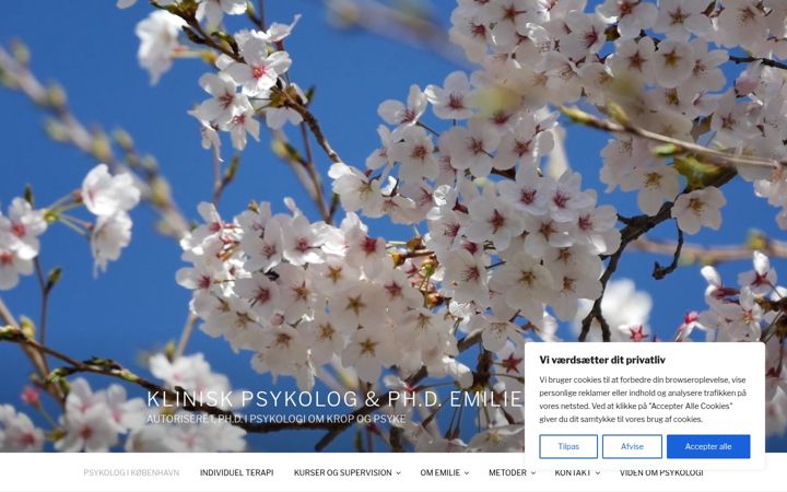 Screenshot di emiliestroem.dk