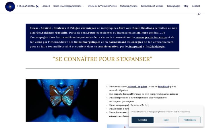 Screenshot of emilievendeville.fr