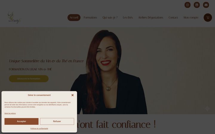 Screenshot of emilyseguy.com