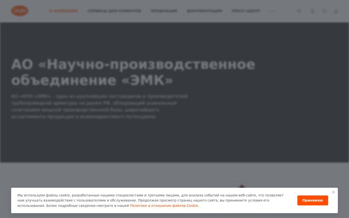 Zrzut ekranu emk.ru