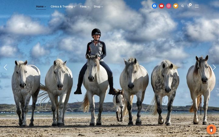 Screenshot of emmamassingale.com