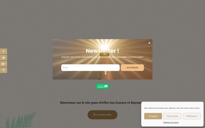 Screenshot of emmanessence.com