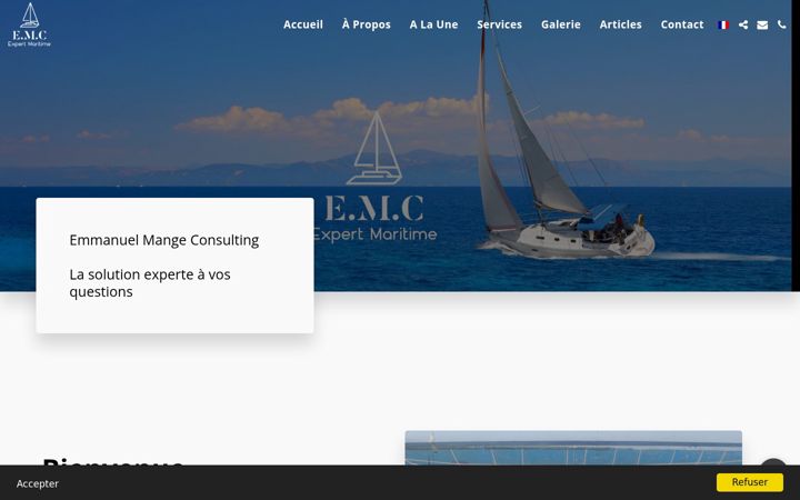 Screenshot of emmanuel-mange-consulting.com