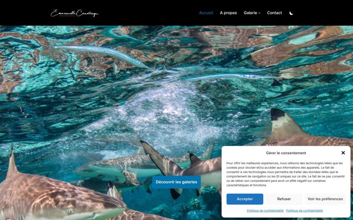 Screenshot of emmanuelle-camallonga.com