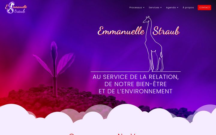 Screenshot ta' emmanuellestraub.fr
