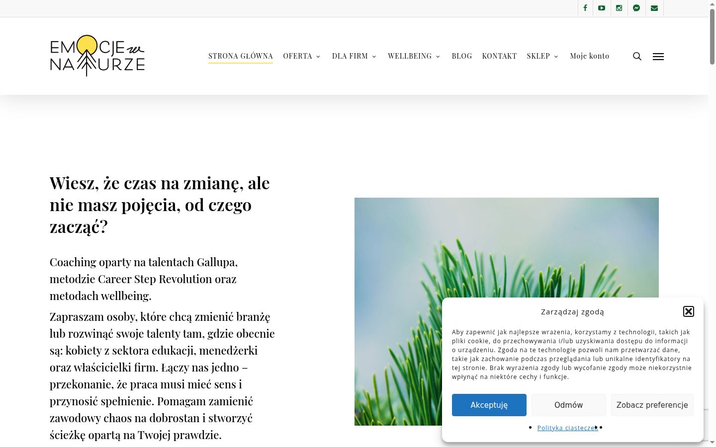 Screenshot tal-banner tal-kunsens muri qabel kwalunkwe interazzjoni