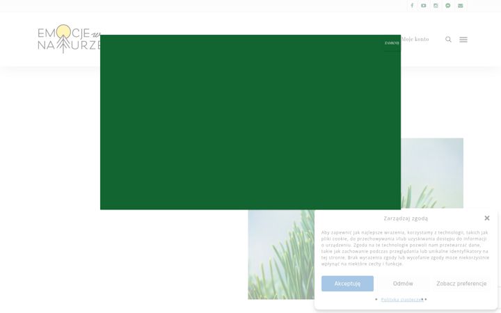 Screenshot of emocjewnaturze.pl