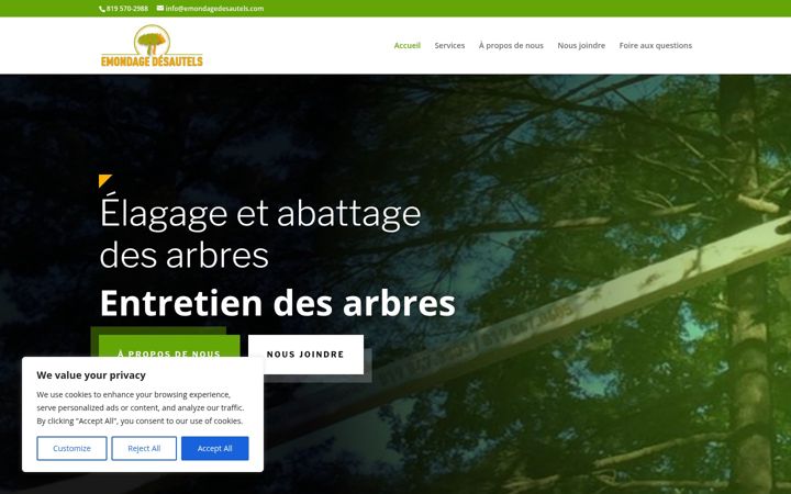 Screenshot of emondagedesautels.com