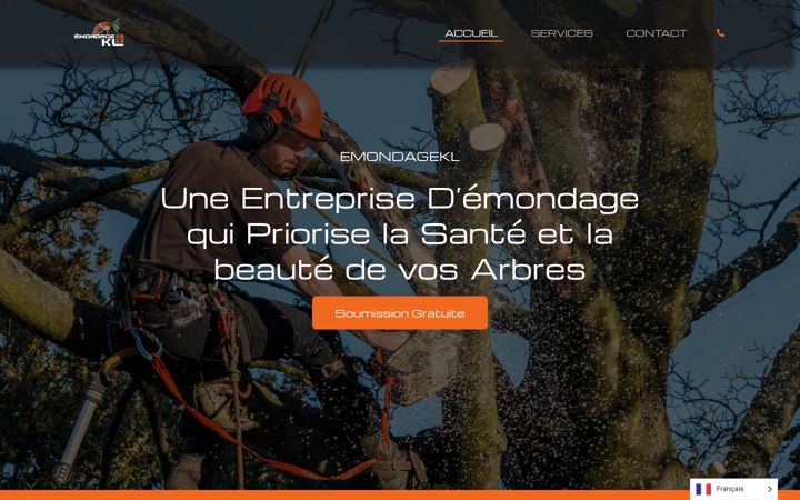 Screenshot of emondagekl.com