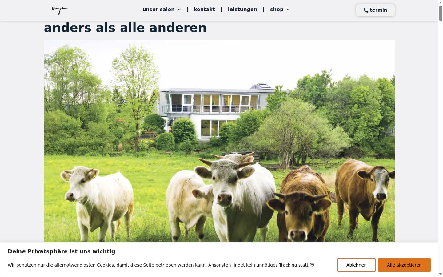 Screenshot des Einwilligungsbanners vor jeglicher Interaktion