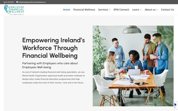Ekraanipilt saidist employeefinancialwellness.ie
