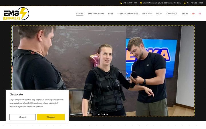 Screenshot of ems-bodymakers.pl