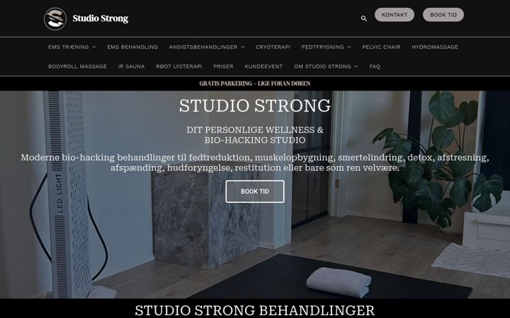 Screenshot stránky ems-studiostrong.dk