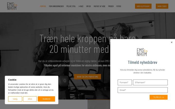 Screenshot stránky emsbynhom.dk