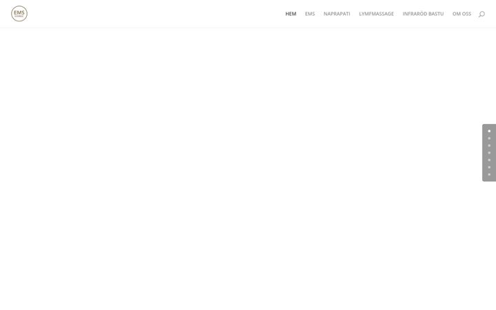 Screenshot of emssverige.se