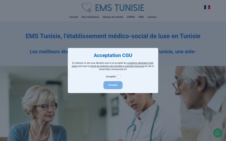 Screenshot of emstunisie.ch