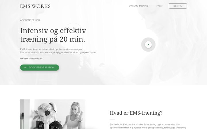Screenshot of emsworks.dk